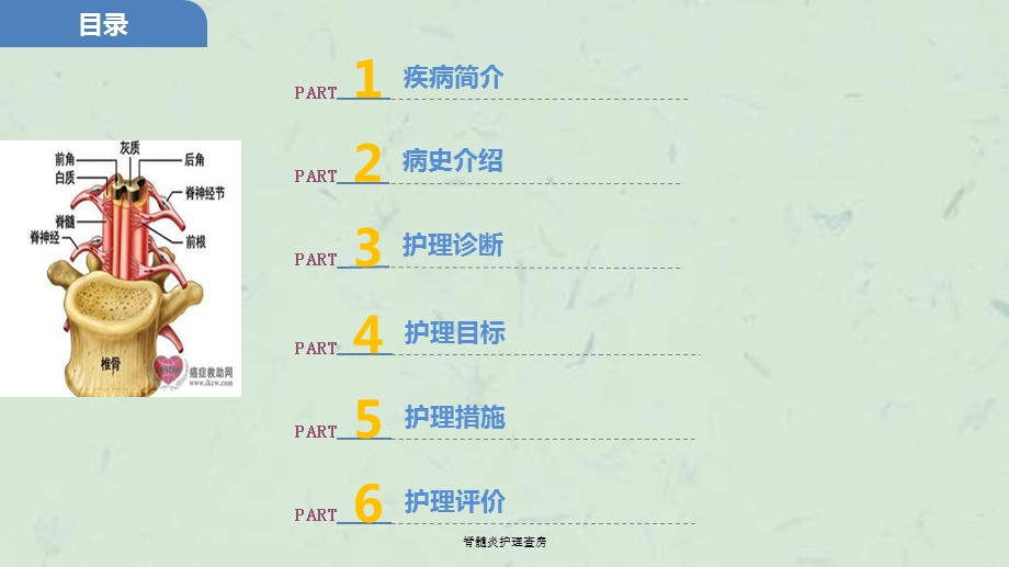 脊髓炎护理查房ppt课件.ppt_第2页