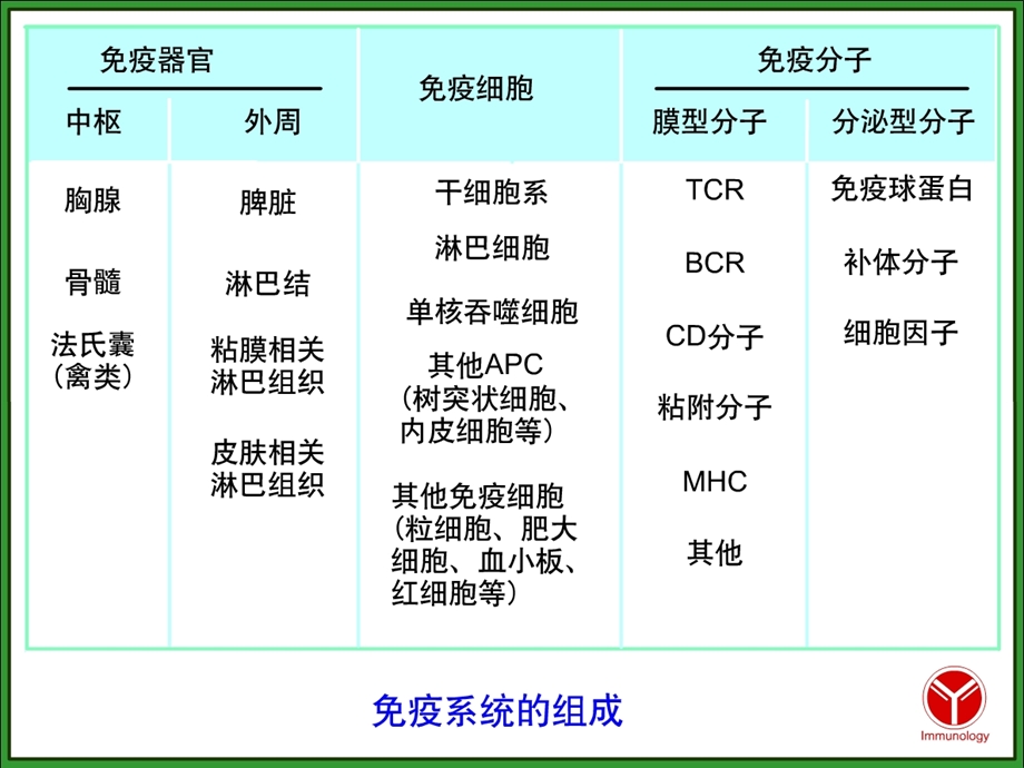 第二章 免疫器官和组织 高三生物课件教案.ppt_第2页