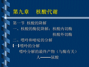 第九章核酸代谢课件.ppt