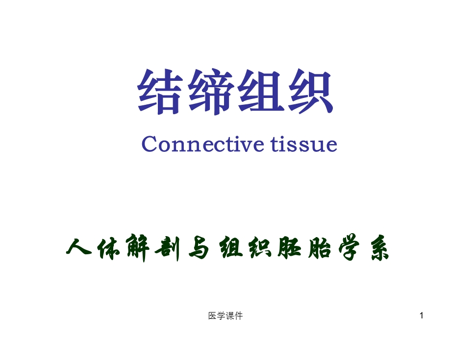 组织学与胚胎学固有结缔组织 课件.ppt_第1页