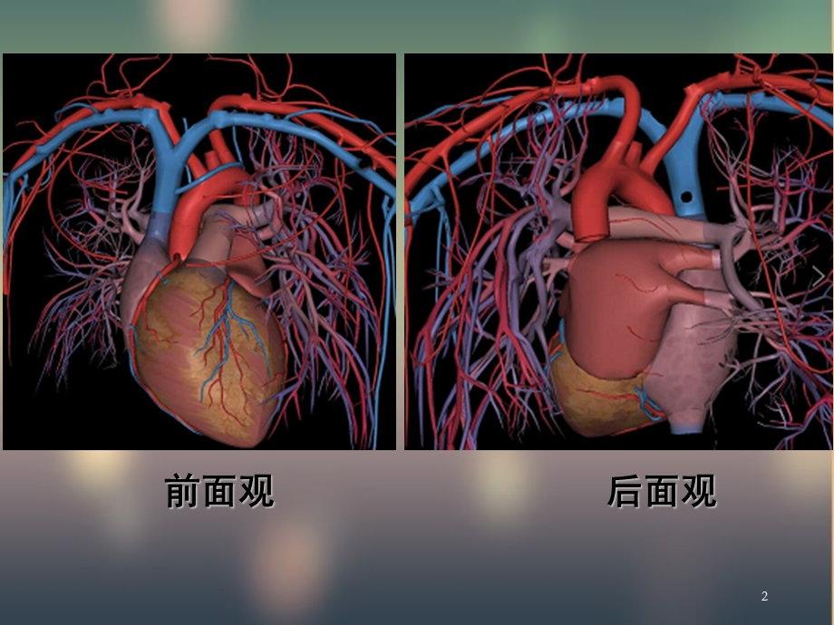 循环系统·影像学检查方法 课件.ppt_第2页