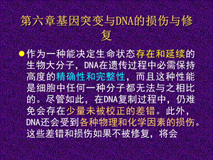 第十一章 DNA的生物合成课件.ppt