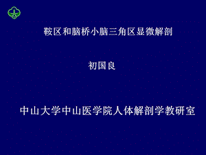 鞍区和脑桥小脑三角区显微解剖课件.ppt