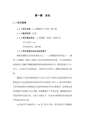 xx藏毯生产扩建项目可行性研究报告.doc