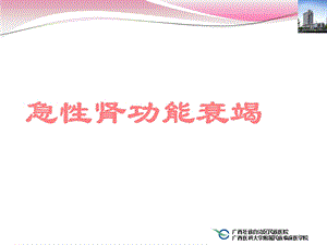 急性肾功能不全-讲课ppt课件.ppt