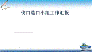 伤口造口小组工作汇报课件.pptx