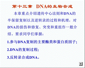 第十二章 09 DNA的生物合成课件.ppt