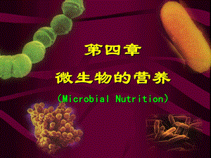 第四章微生物营养课件.ppt