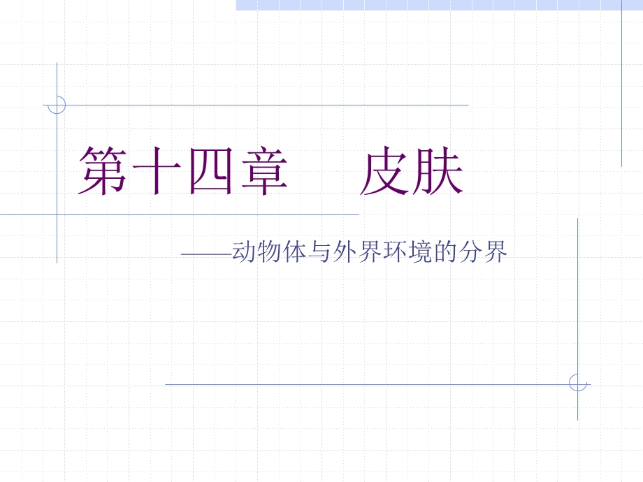 组织与胚胎学第十四章 皮肤课件.ppt_第1页