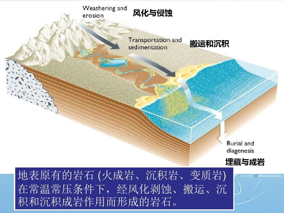 认识常见沉积岩课件.ppt_第3页