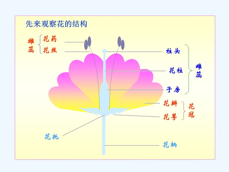 第七单元--第一章--第一节--植物的生殖课件.ppt_第3页