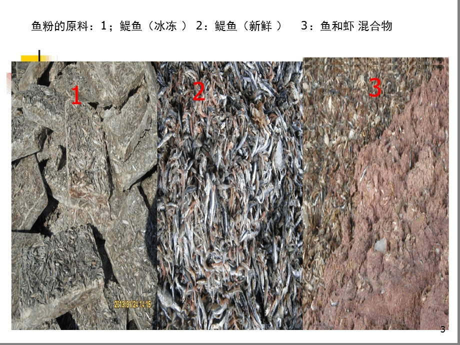 鱼粉质量判定课件.ppt_第3页