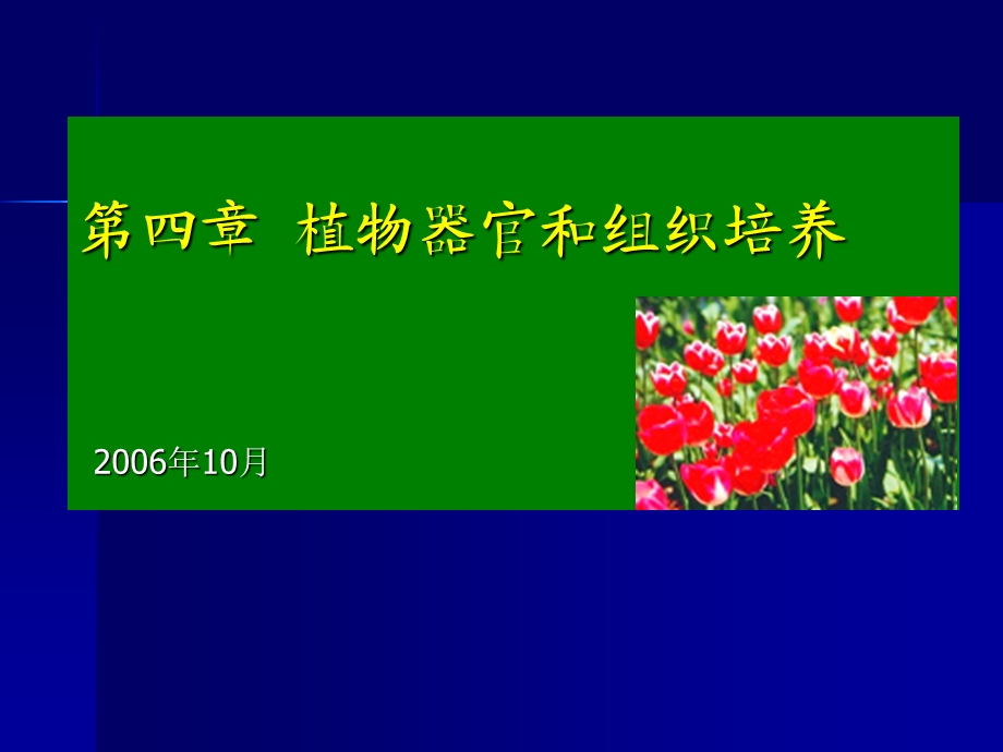 第四章 植物的器官和组织培养课件.ppt_第1页