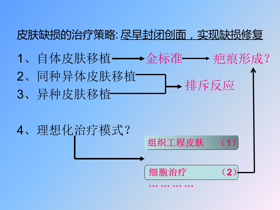 组织工程皮肤的研发课件.ppt_第3页