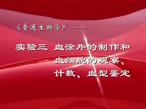 实验三 血涂片的制作和 血细胞的观察、 计数、血型鉴定课件.ppt