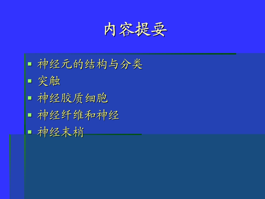 组织学与胚胎学 神经ppt课件.ppt_第2页