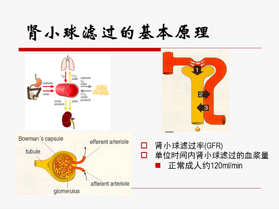 持续肾脏替代治疗（CRRT）ppt课件.ppt_第3页