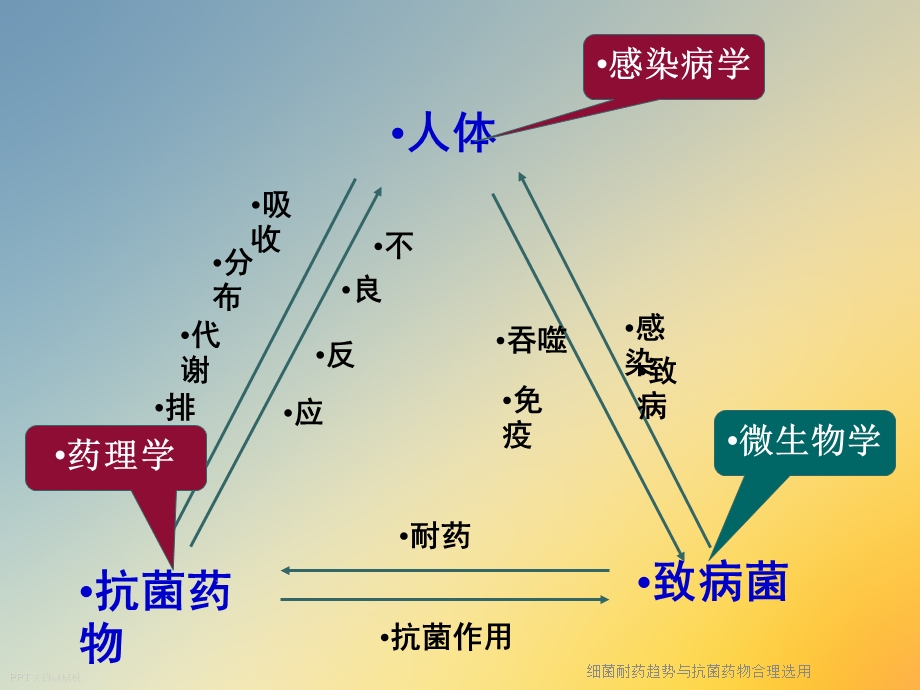 细菌耐药趋势与抗菌药物合理选用课件.ppt_第3页