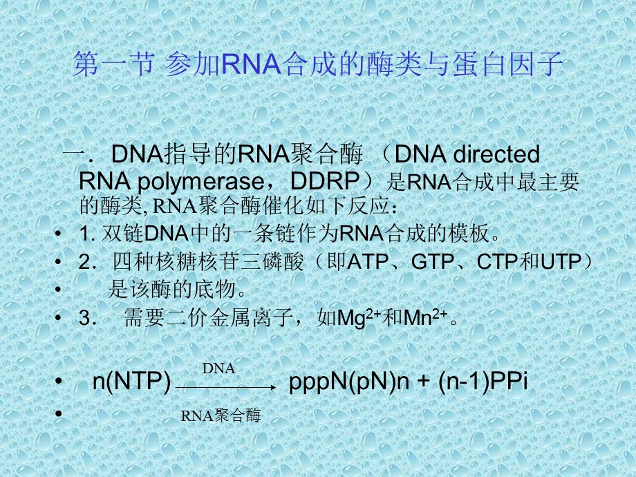 精品ppt课件-RNA生物合成.ppt_第3页