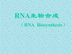 精品ppt课件-RNA生物合成.ppt