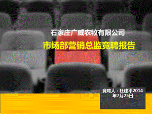 营销总监竞聘报告课件.ppt