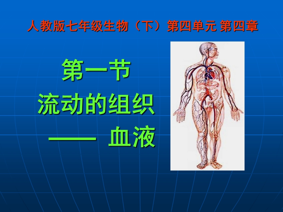 流动的组织血液 课件.ppt_第2页