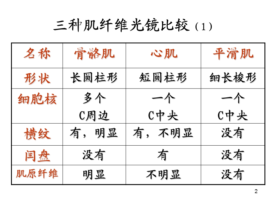 组织学与胚胎学神经组织课件.ppt_第2页