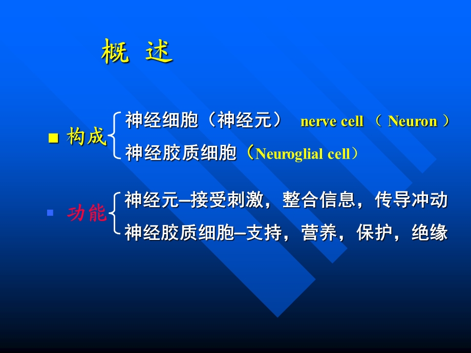 组织学与胚胎学 第7章 神经组织(上)课件.ppt_第2页