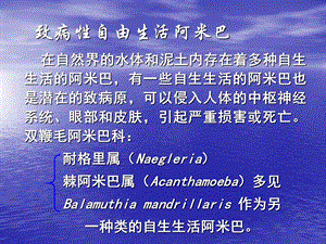 寄生虫学 第六章 皮肤与组织寄生虫 致病性自由生活阿米巴课件.ppt