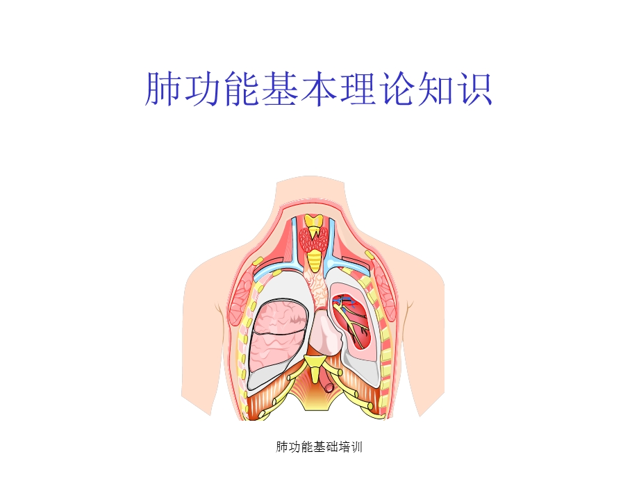 肺功能基础培训ppt课件.ppt_第1页
