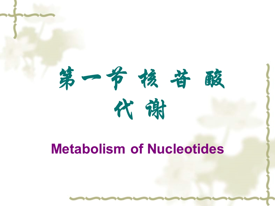 第八章核酸代谢和蛋白质的生物合成课件.ppt_第2页