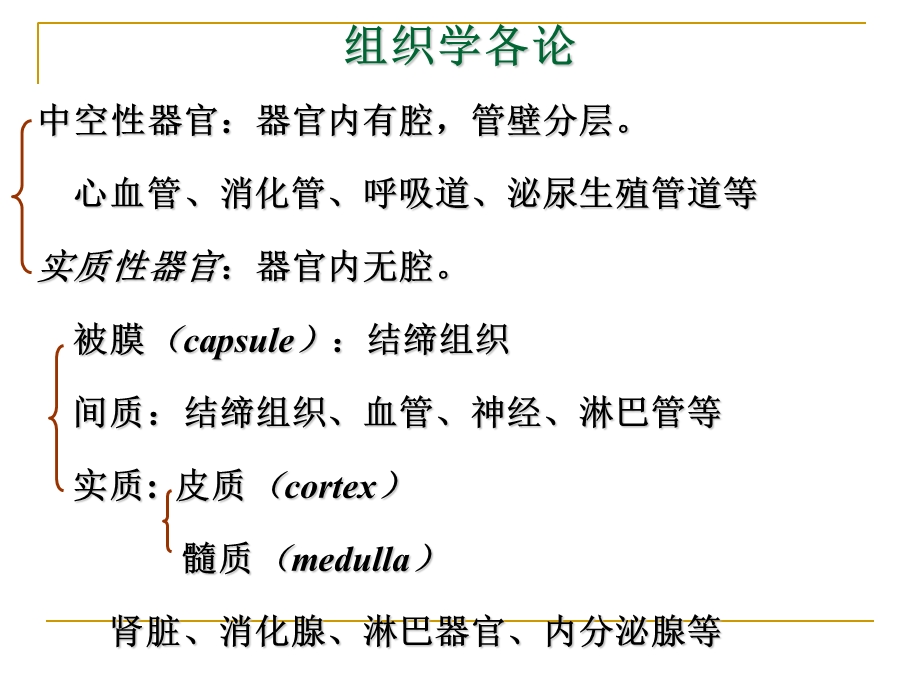 组织学与胚胎学 第10章 循环系统课件.ppt_第3页