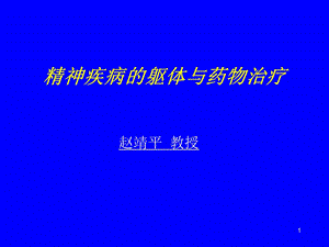 精神疾病的躯体与药物治疗 ppt课件.ppt