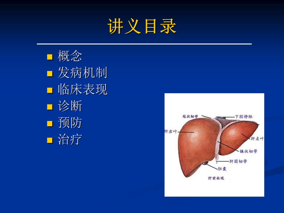 药物性肝损害的诊断与治疗课件.ppt_第2页