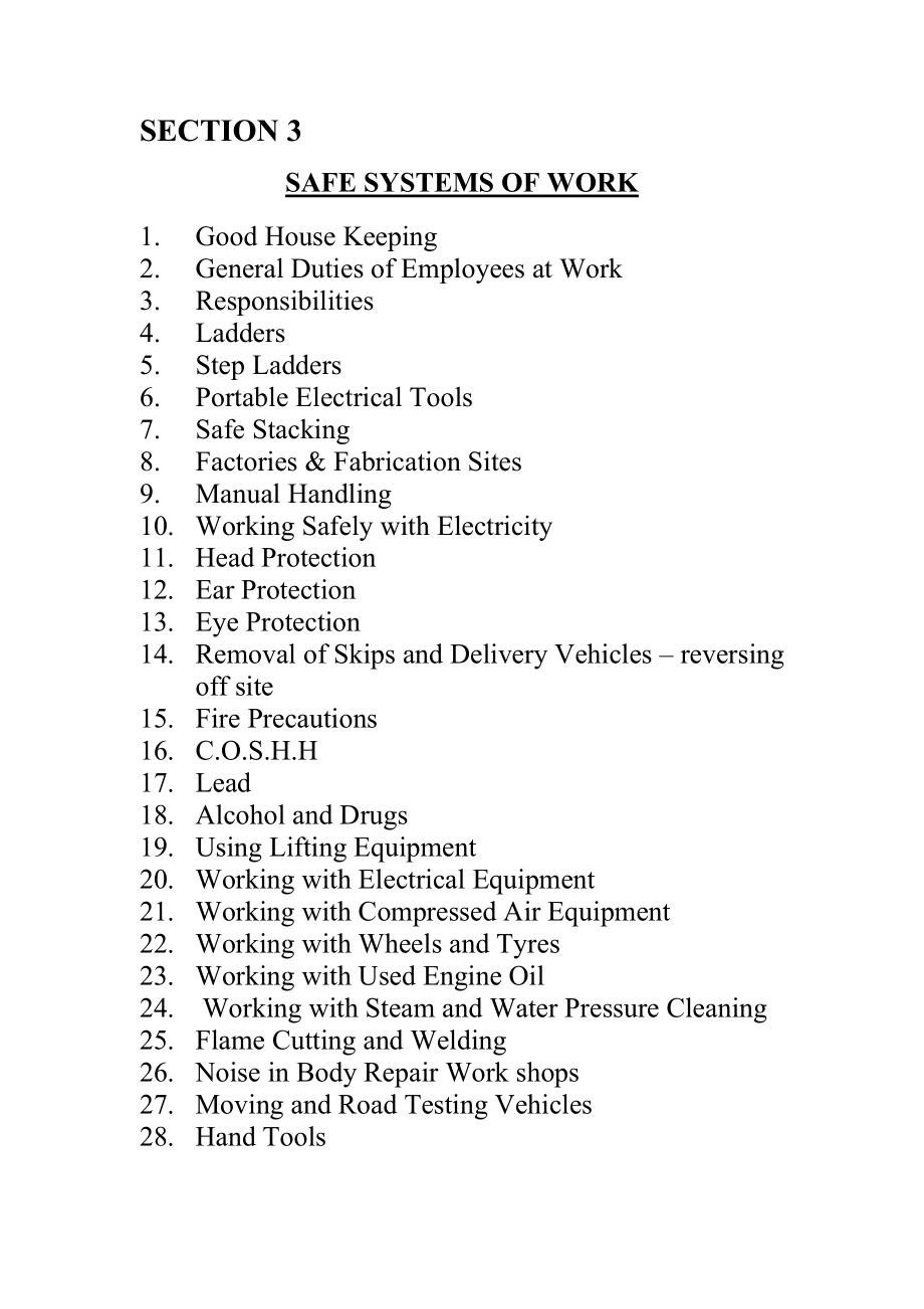 SAFE SYSTEM OF WORK.doc_第1页