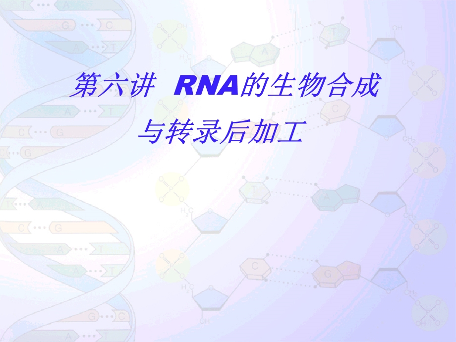 第六讲RNA的生物合成与转录后加工课件.ppt_第1页