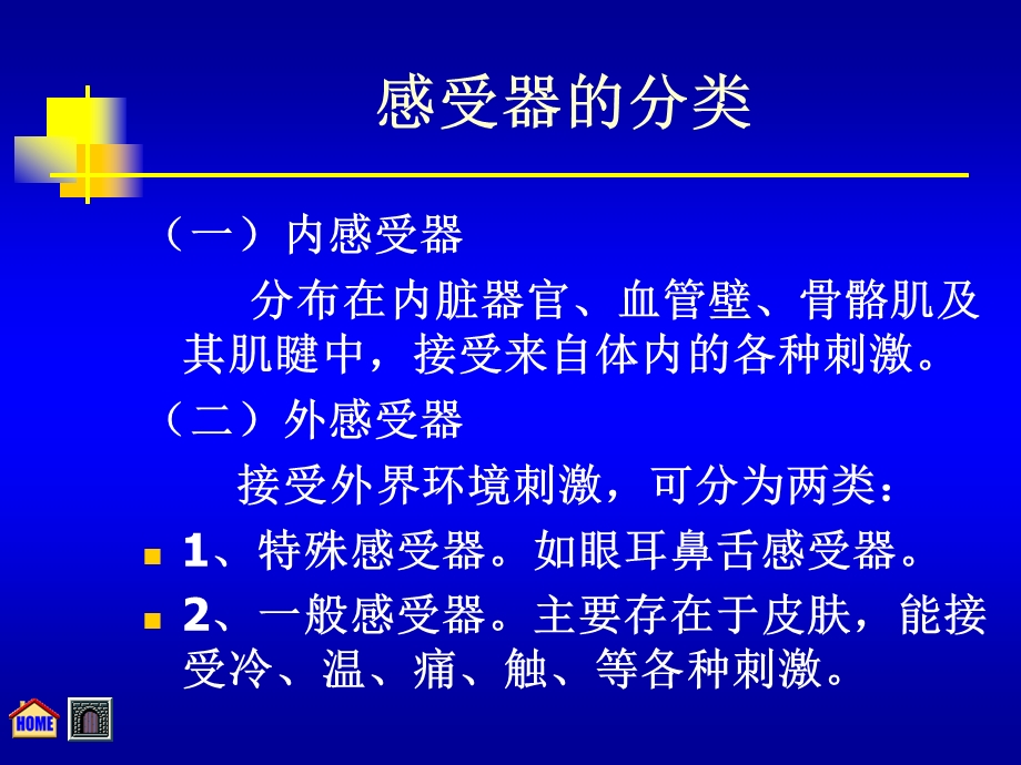 组织胚胎学 第九章感觉器官课件.ppt_第3页