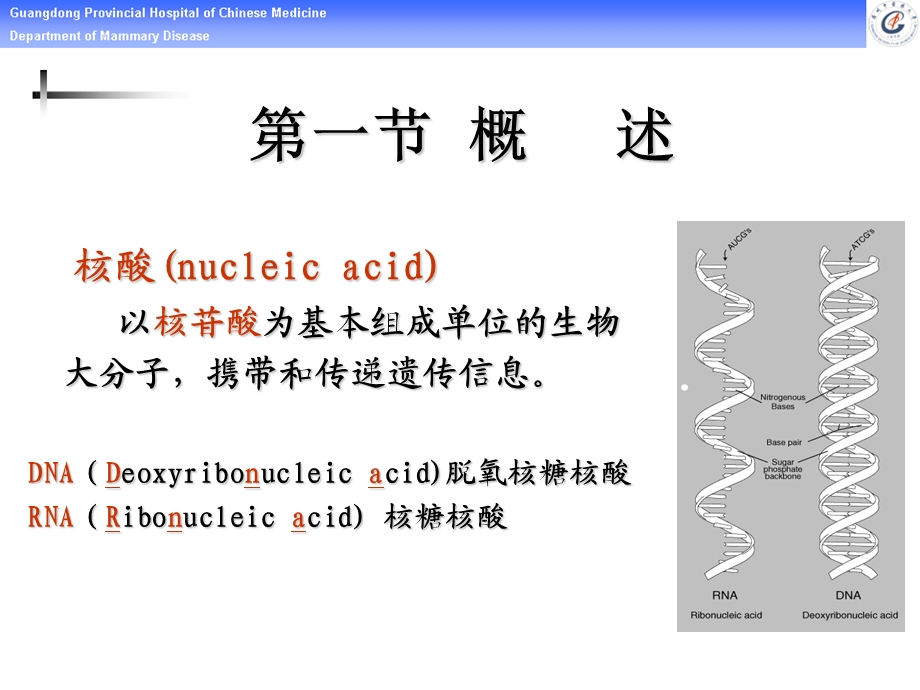 核酸化学 核苷酸代谢ppt课件.ppt_第2页