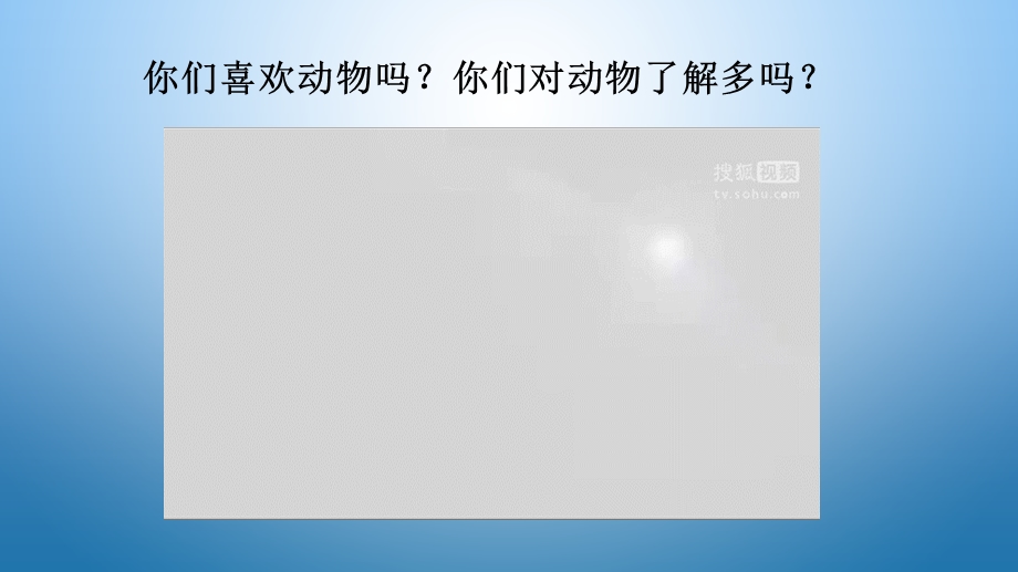 五年级下册语文ppt课件语文百花园二《口语交际：介绍一种动物》｜语文s版.ppt_第3页