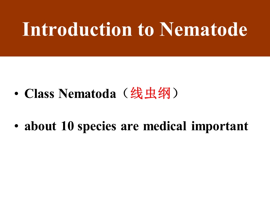 线虫概论蛔虫鞭虫钩虫解读课件.ppt_第2页