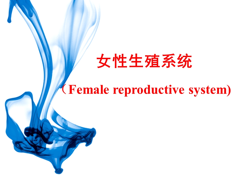 组胚学ppt课件女性生殖系统.ppt_第1页