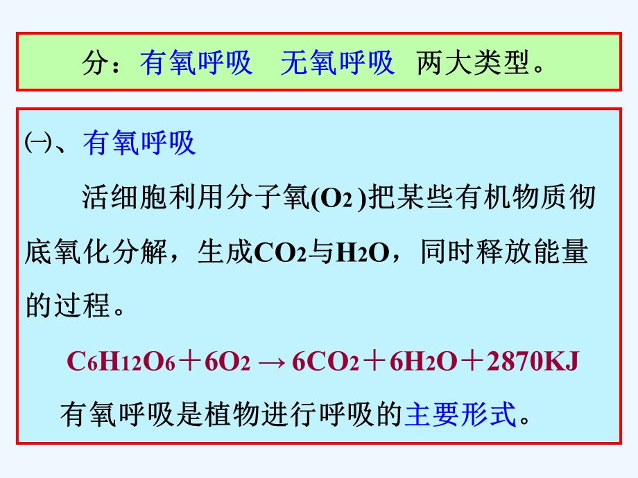 第四章呼吸作用课件.ppt_第3页