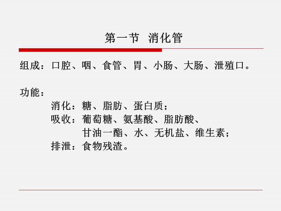 组织胚胎学ppt课件第四章消化器官.ppt_第3页