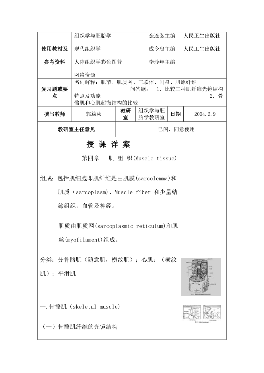 【组织胚胎学教案】肌组织（Muscle tissue） .doc_第2页