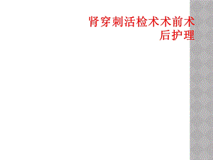 肾穿刺活检术术前术后护理课件.ppt