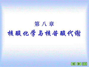 核酸化学与核苷酸代谢 ppt课件.ppt