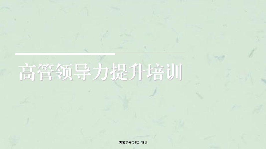 高管领导力提升培训ppt课件.ppt_第1页