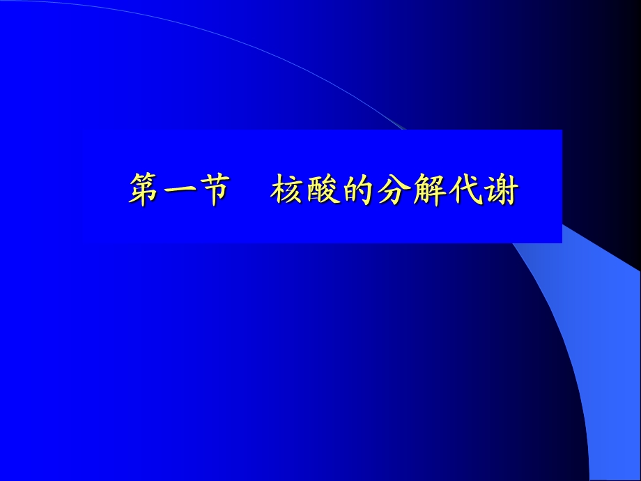 核苷酸代谢及DNA的生物合成课件.ppt_第2页