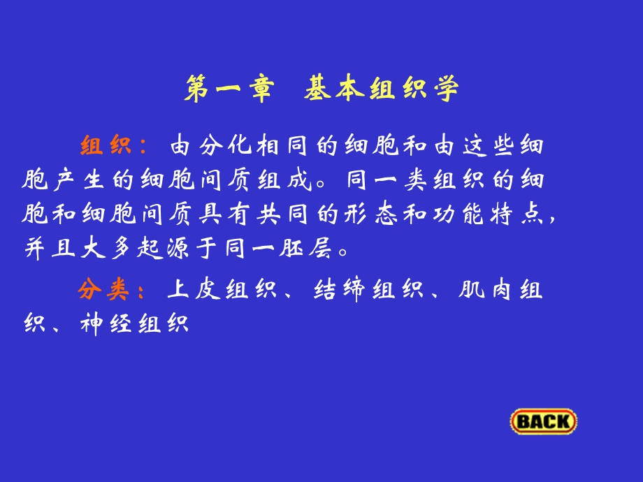 组织胚胎学CAIppt课件.ppt_第3页