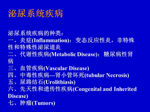 病理学泌尿系统疾病5年 课件.ppt